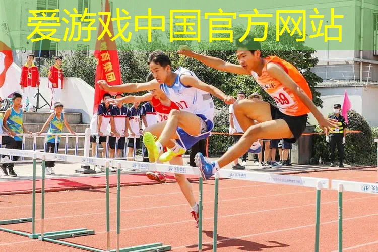 网球拍子老款怎么选好
