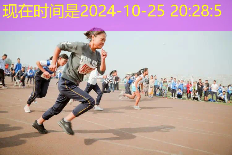 网球拍初学者单人套装训练