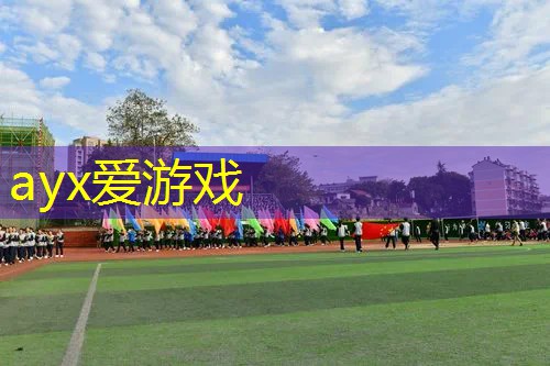 可以放网球拍的包是什么