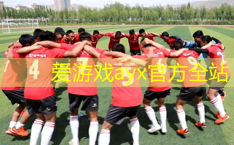 哪款网球拍比较硬好用耐打