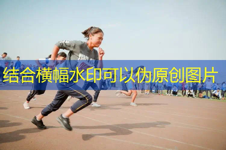 网球拍护线管技术规范最新