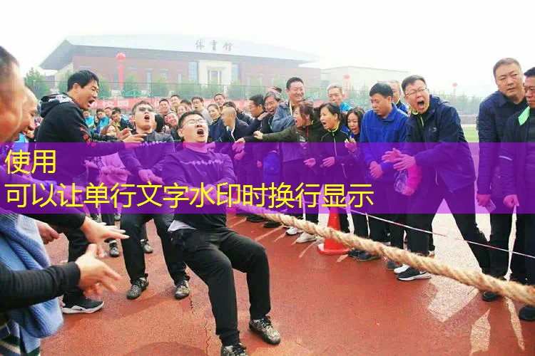 什么是碳素一体网球拍