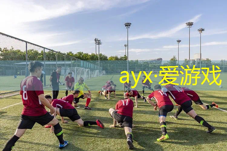 网球拍三维图