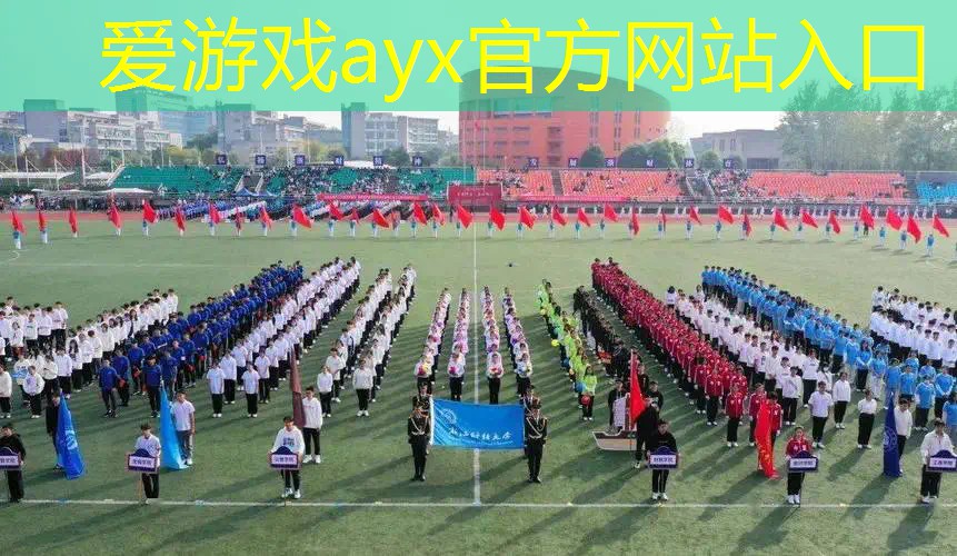 普通网球拍及球价格表