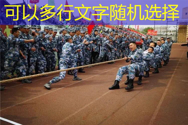 网球拍喷漆模具图解说明