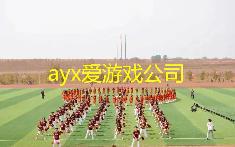 网球拍手柄黑色是什么材质