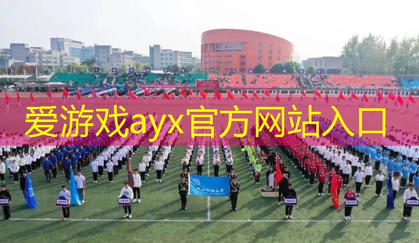 王子网球拍为什么没代言