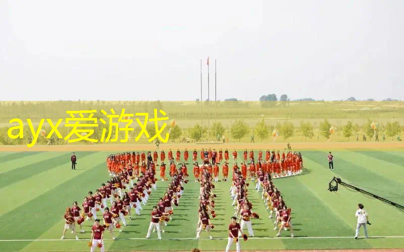 2017沃兹尼亚奇网球拍