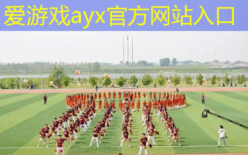 2008年以来第四把网球拍