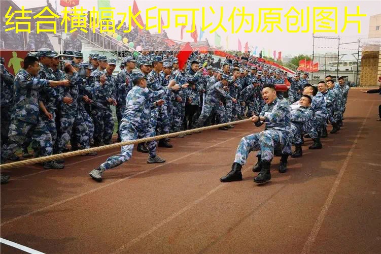 网球拍面穿线颜色区别图解
