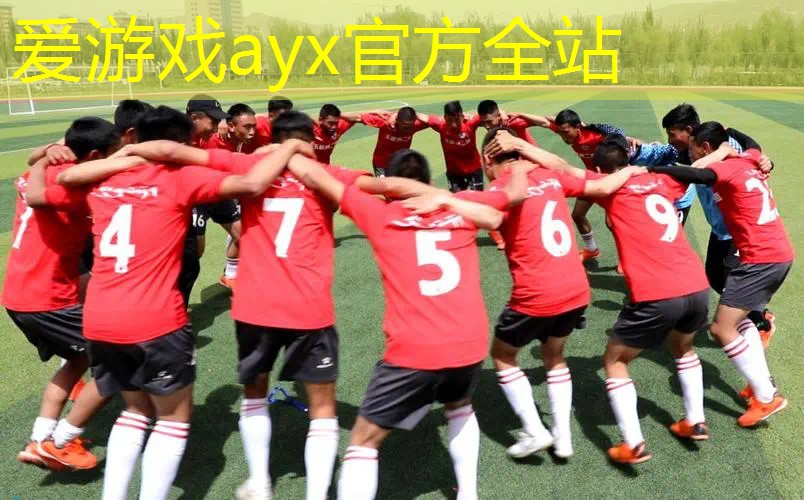 适合新手的网球拍平价