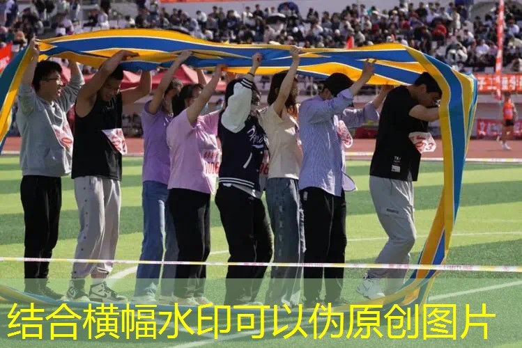 网球拍收藏书籍有用吗_