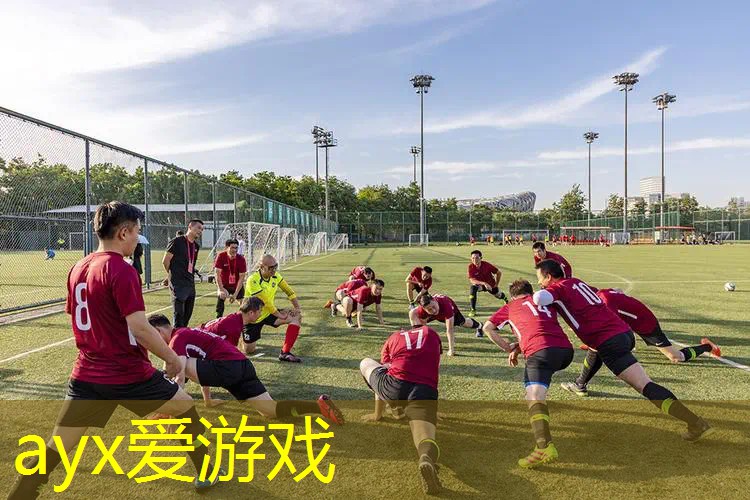 网球拍没手柄1号2号
