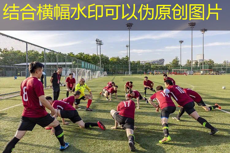 网球拍减震器的原理