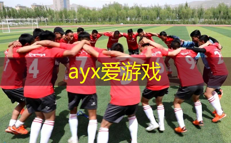 柴犬会不会捡网球拍打