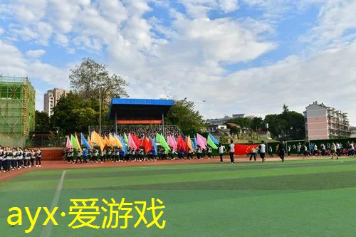 网球拍没有防震打球会怎样