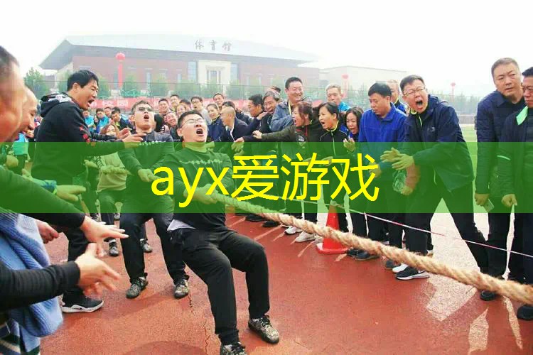 求一款男用新手网球拍