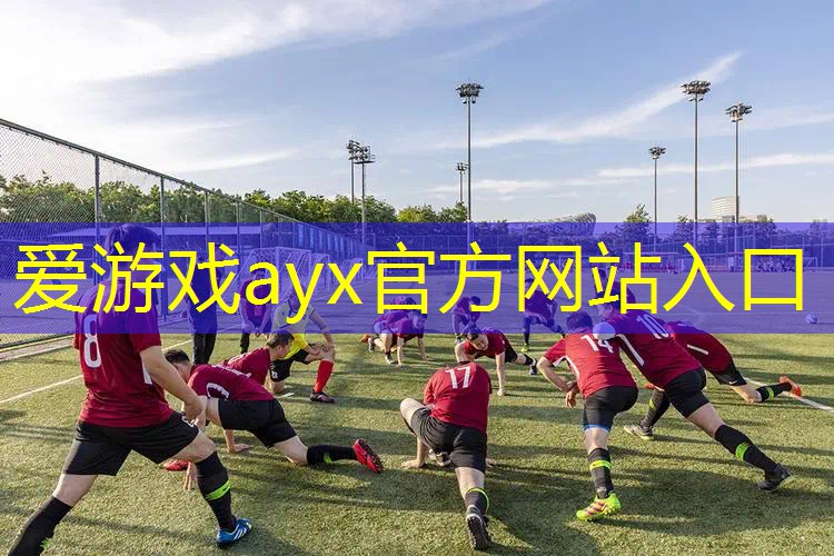 网球拍全碳素和碳复合区别