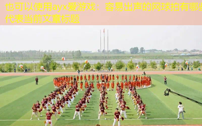 容易出声的网球拍有哪些