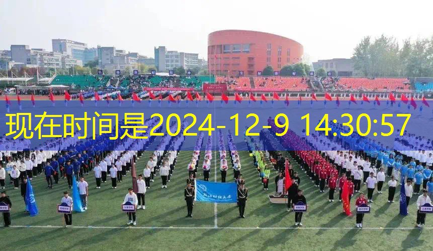 网球拍是单支还是两个