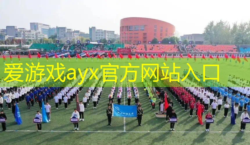 网球拍把手掉了怎么办