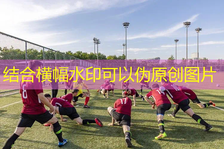 网球拍的减震条安装方法