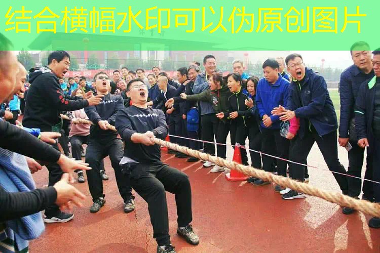网球拍超西方式握法图解