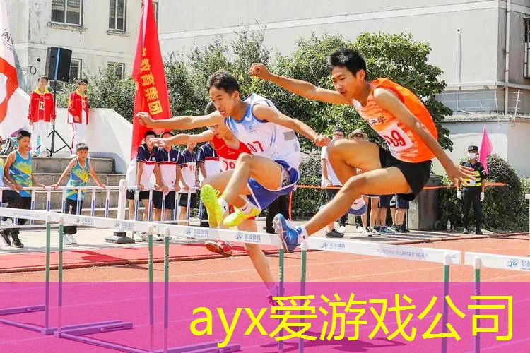 网球拍维尔胜哪款好用