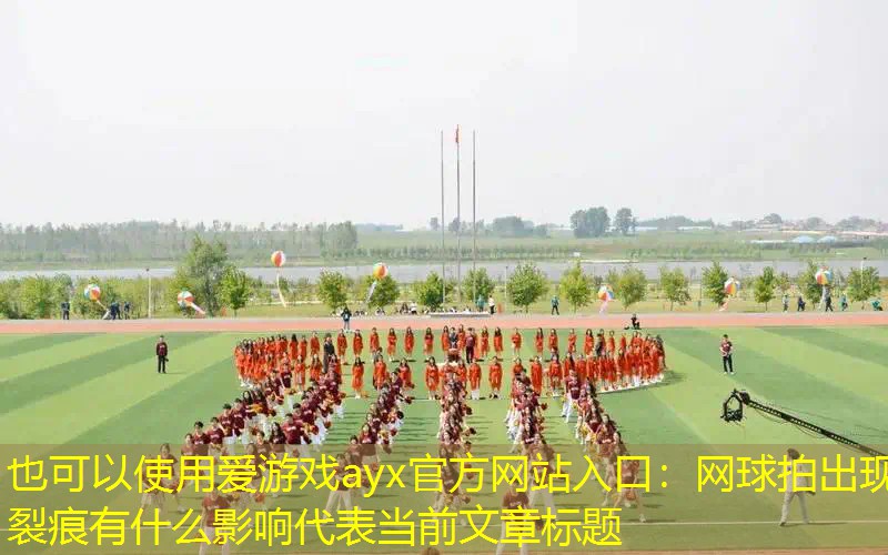 网球拍出现裂痕有什么影响