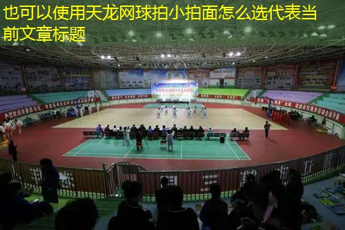 天龙网球拍小拍面怎么选