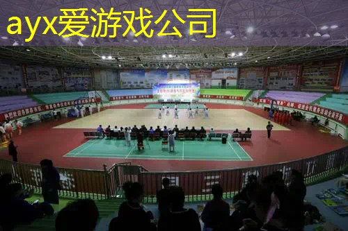 网球拍中级拍怎么选择尺寸