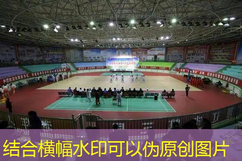 全自动羽网球拍拉线机