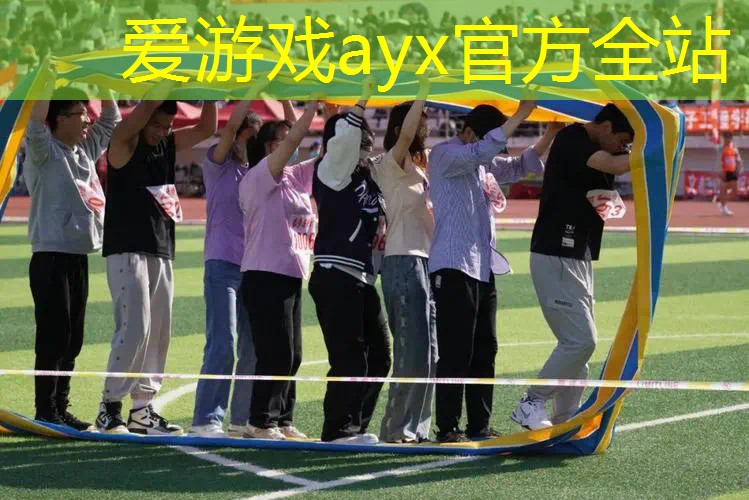 什么网球拍新手性价比高