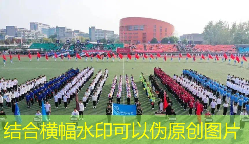 海德尔网球拍初学者