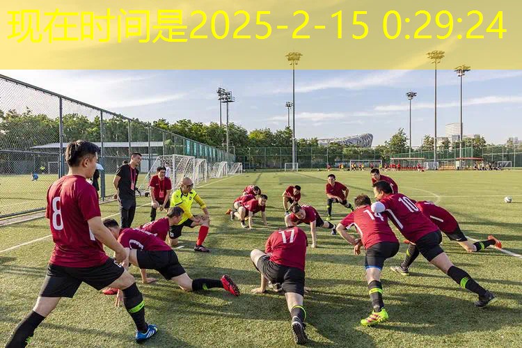百宝力16款网球拍