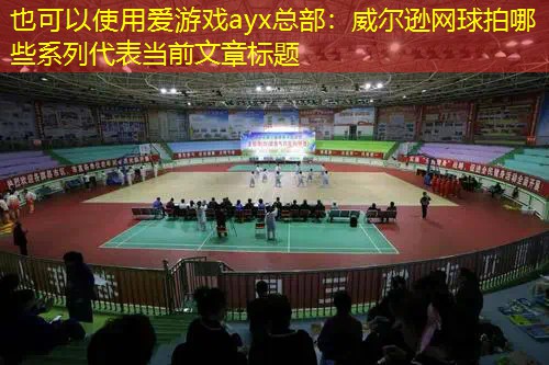 威尔逊网球拍哪些系列