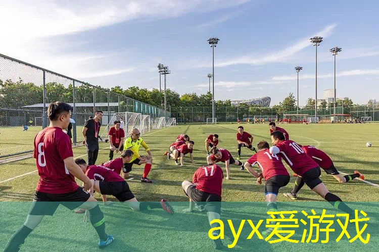 阿尔法网球拍线怎么选择
