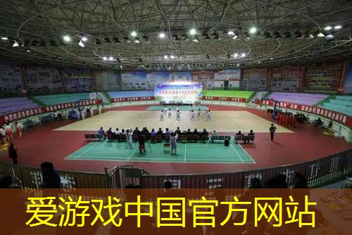 威尔逊网球拍324克多重