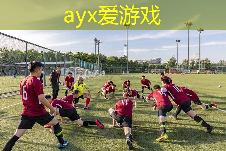 网球拍里面有什么材质的
