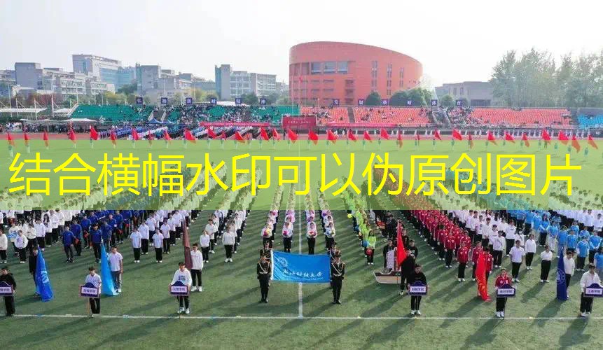 哪款网球拍线最耐打耐磨