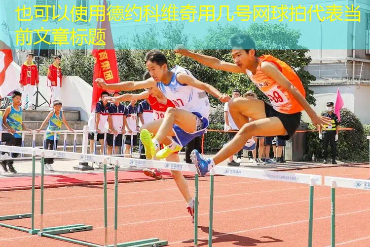 德约科维奇用几号网球拍