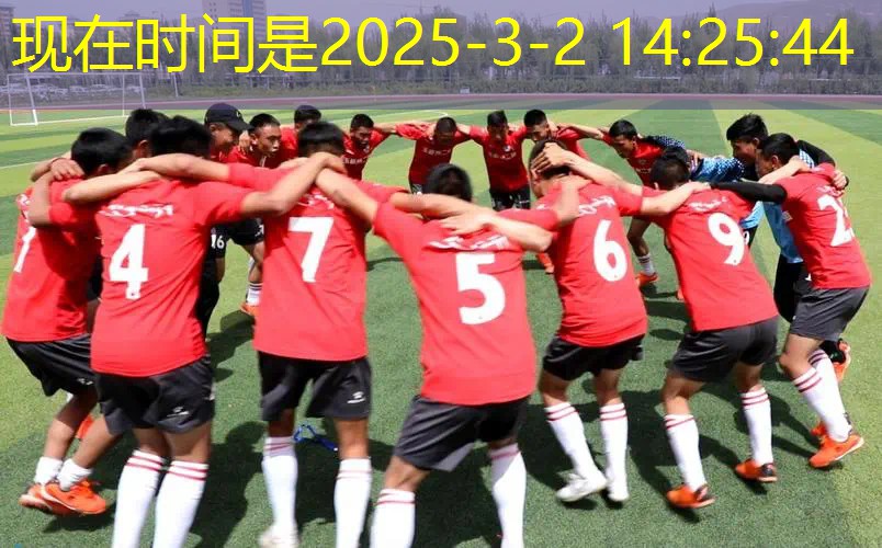 威尔逊网球拍锤子系列型号