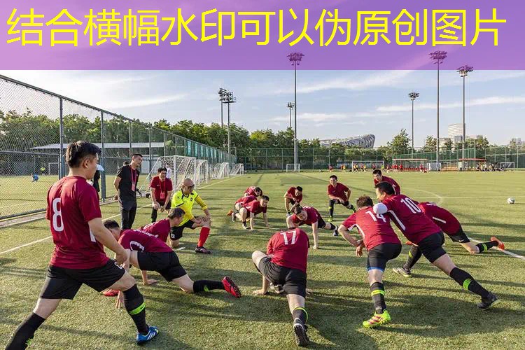 网球拍导入器怎么用的