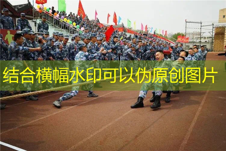网球拍方头和圆头区别