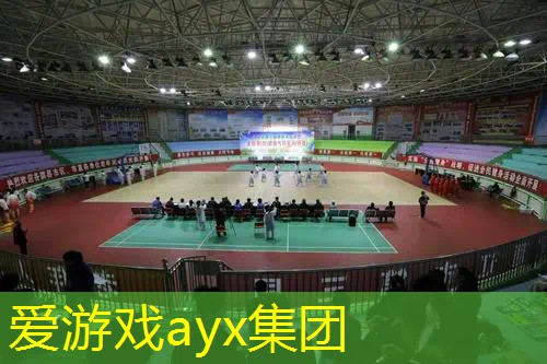 网球拍常规的握拍方法图解