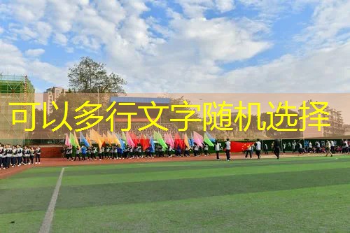 网球拍单拍碳素成人能用吗_