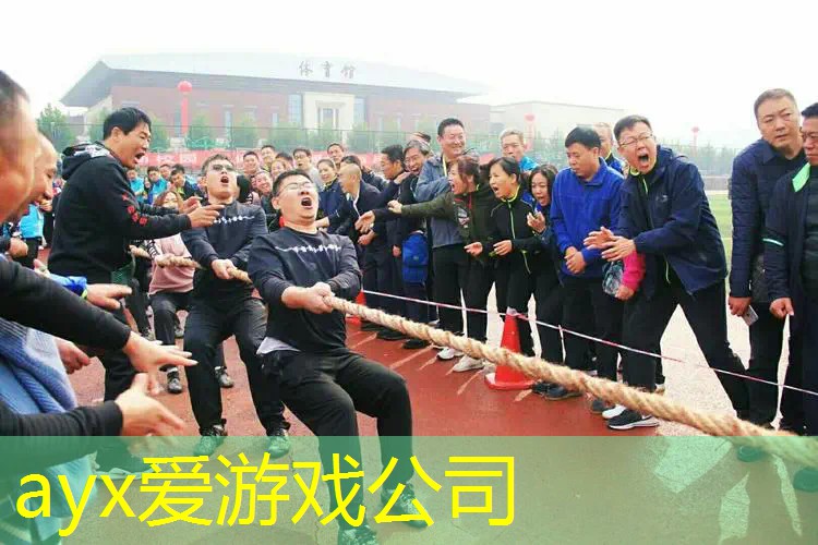 百宝力网球拍和球