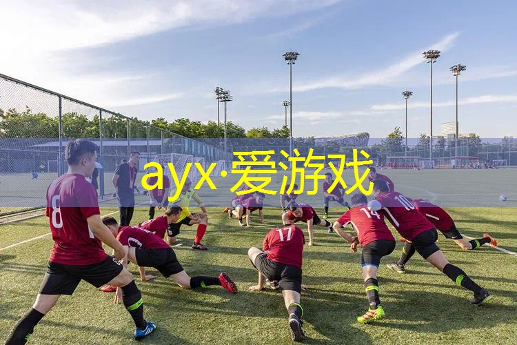 网球拍碳素拍和别的拍区别