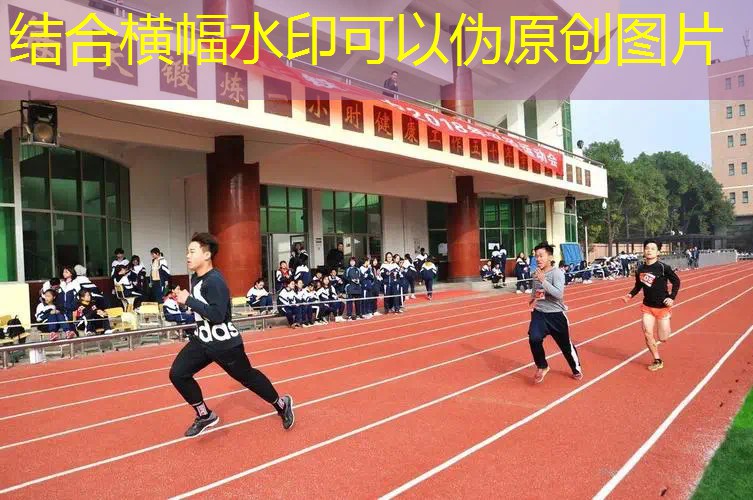王子网球拍蓝鲨测评