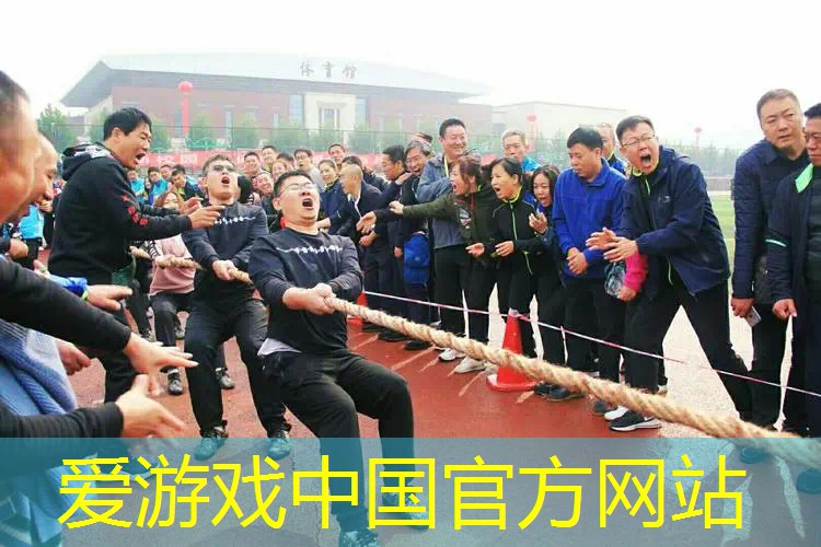 网球拍的演变历史教案中班